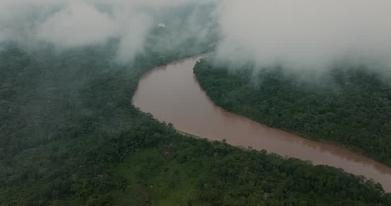 Amazon rainforest aerial 31