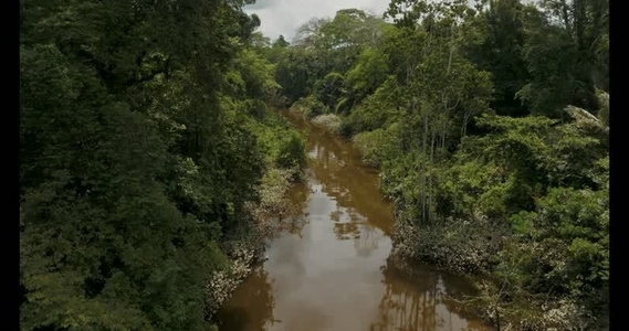 Amazon rainforest aerial  49