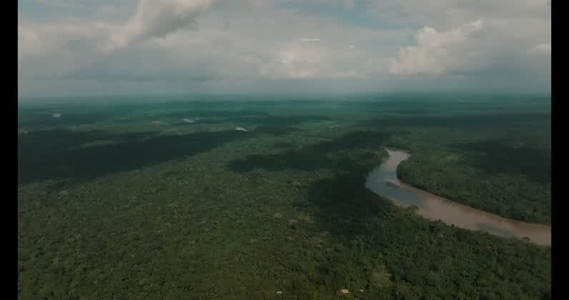 Amazon rainforest aerial  42