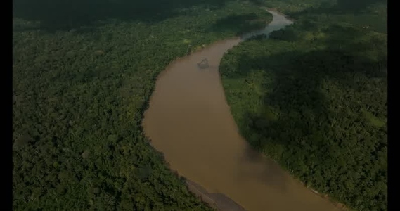 Amazon rainforest aerial  41