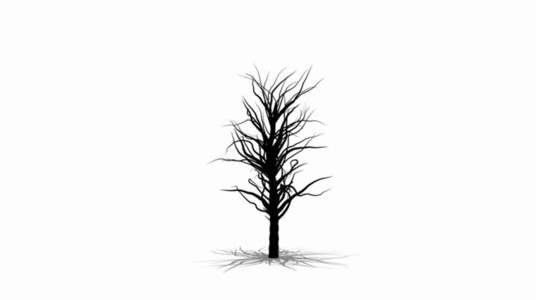 Growing Tree 01