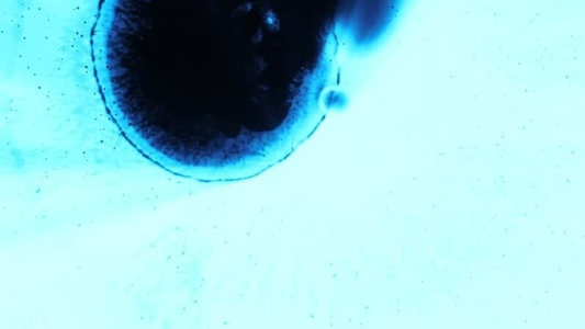 Blue Liquid Ink Nebula