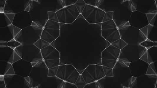 Fractal Network Kaleidoscopes 4