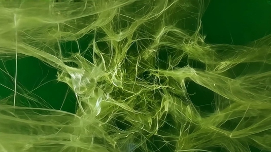 Abstract green fractal pattern resembling tangled fibers