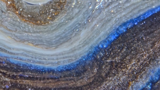 Persian Agate spiral shell with shimmering textures and colors