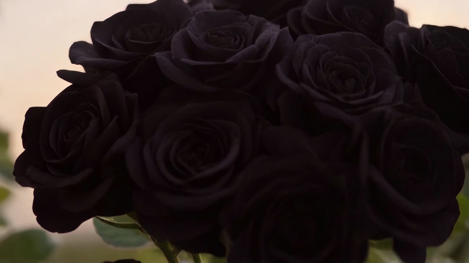 Texture Pattern beauty on smooth surface. Commercial advertising