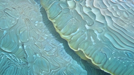 Close up of abstract blue and green textured Tridacna surface