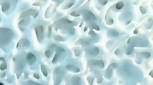 Intricate White Coral structure with a light blue hue