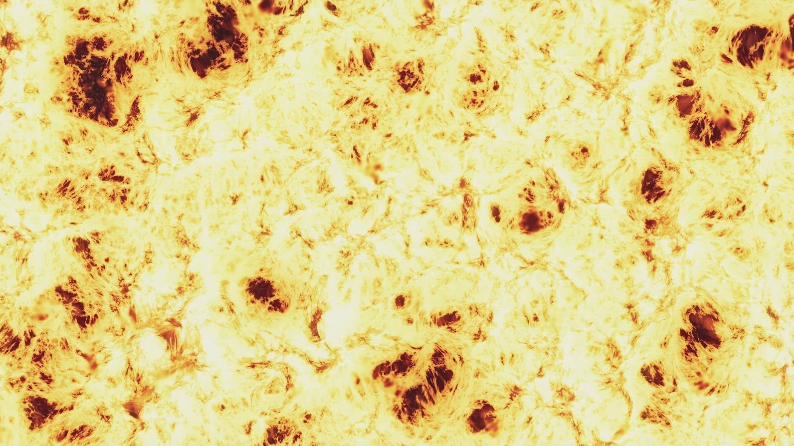 Burning Sun with Intense Flares