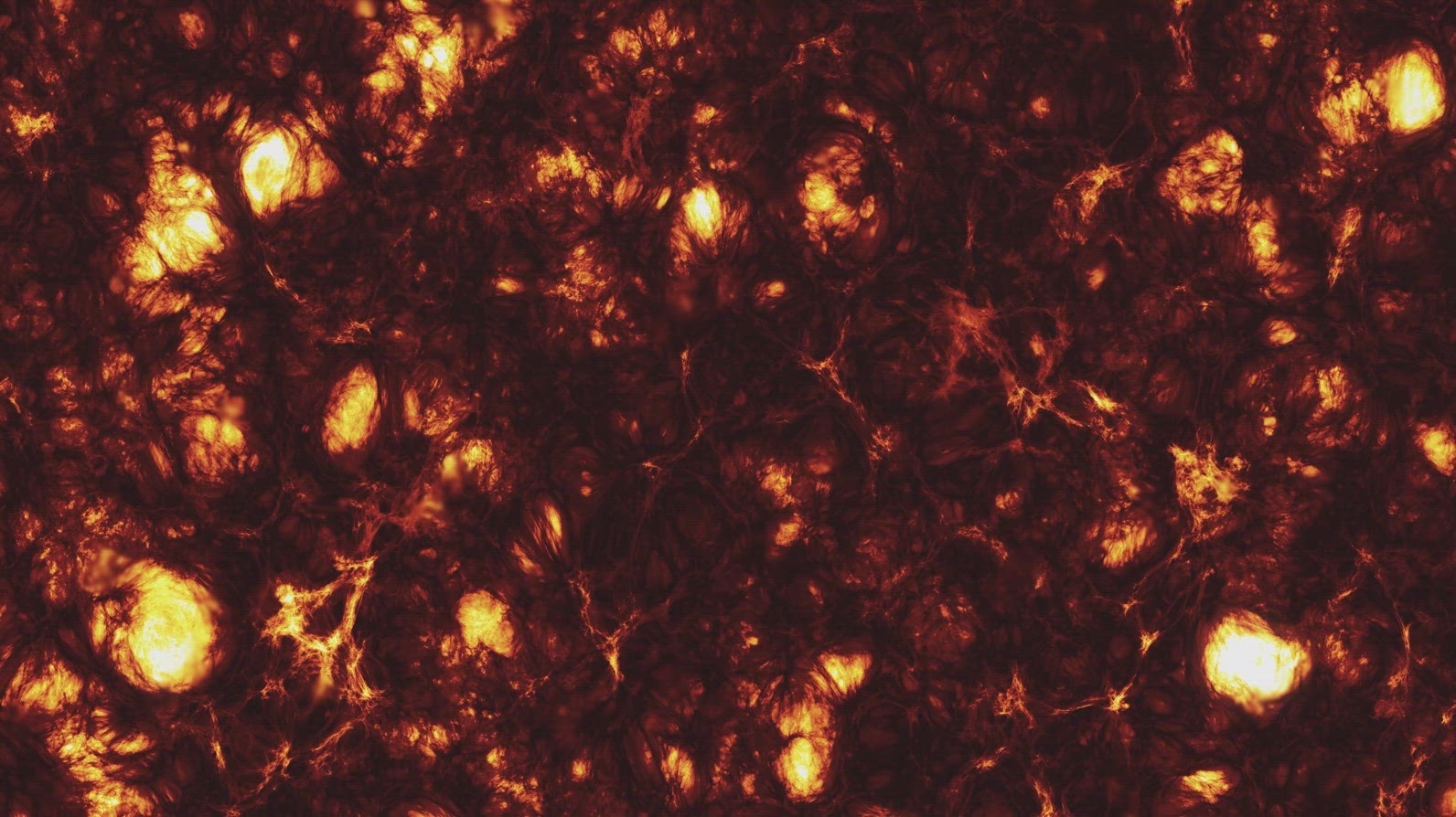Plasma Texture on Solar Surface