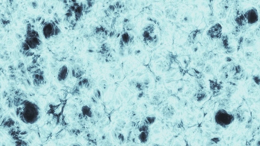 Alien Planet Texture