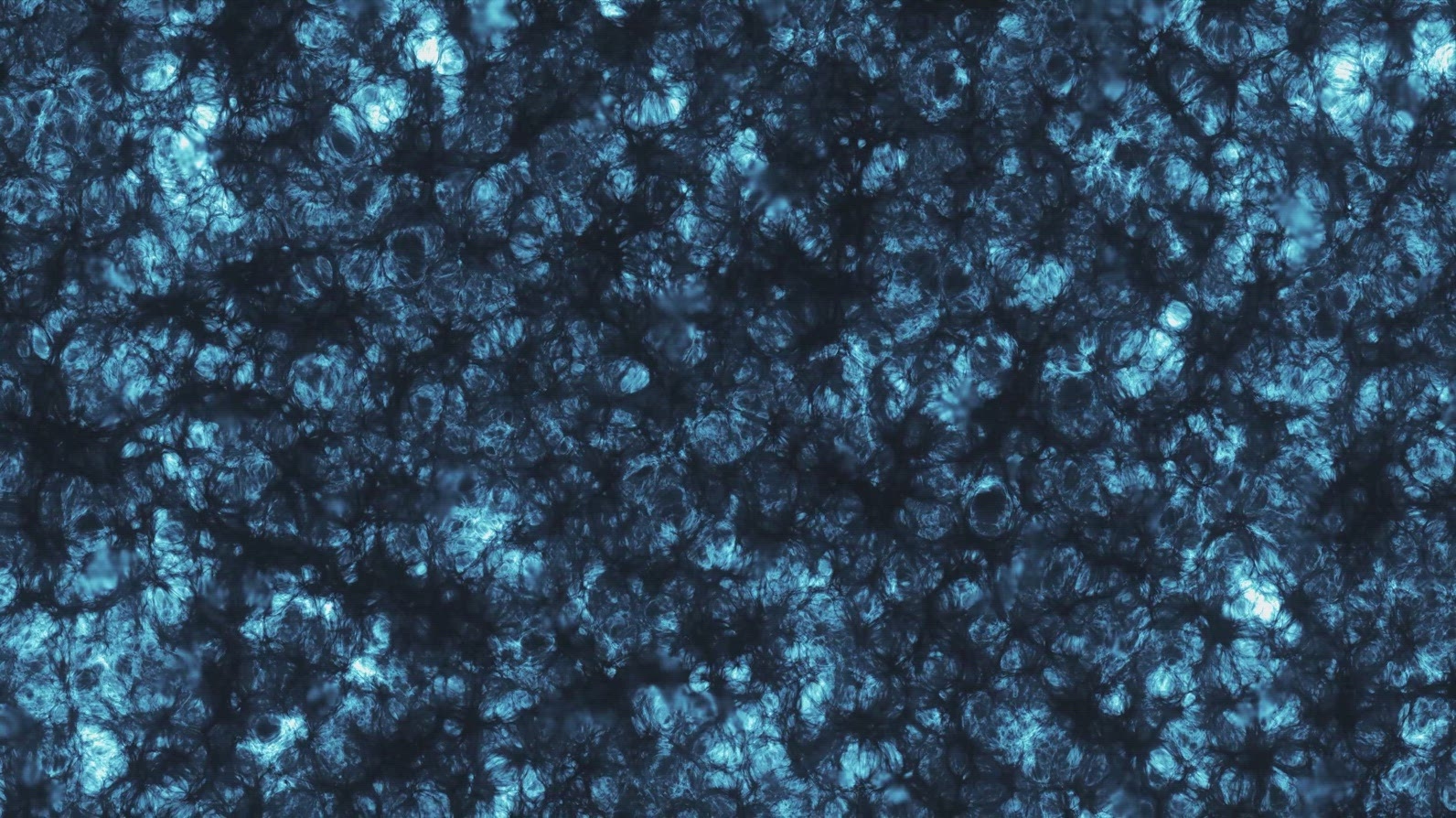Frozen Star Surface Texture