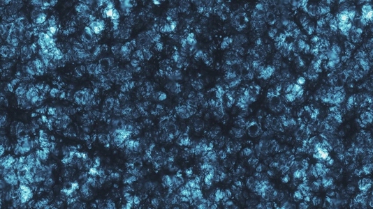 Frozen Star Surface Texture