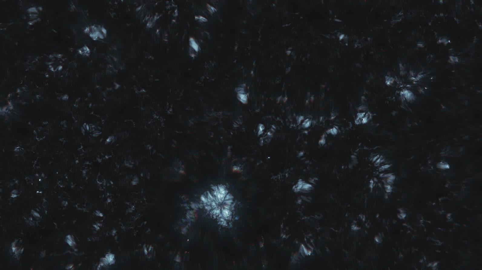 Cosmic Fractal Texture