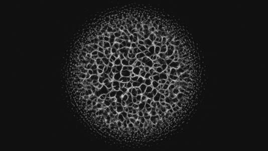 Fractal Ring Growth Fractal Ring Growth