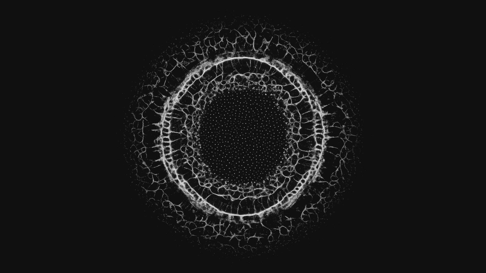 Abstract Fractal Growth Ring
