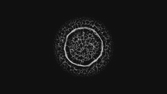 Expanding Energy Network