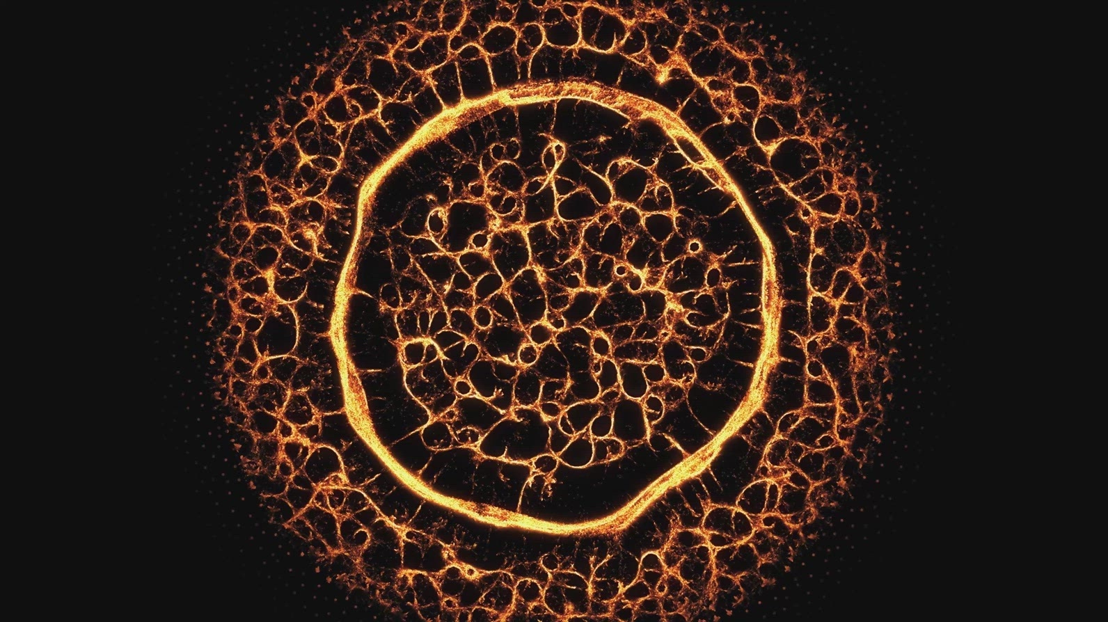 Fractal Energy Circle