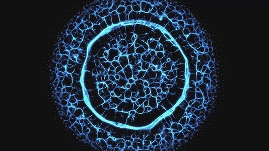 Blue Fractal Network Growth Blue Fractal Network Growth