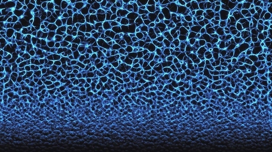 Blue Organic Linear Growth Blue Organic Linear Growth