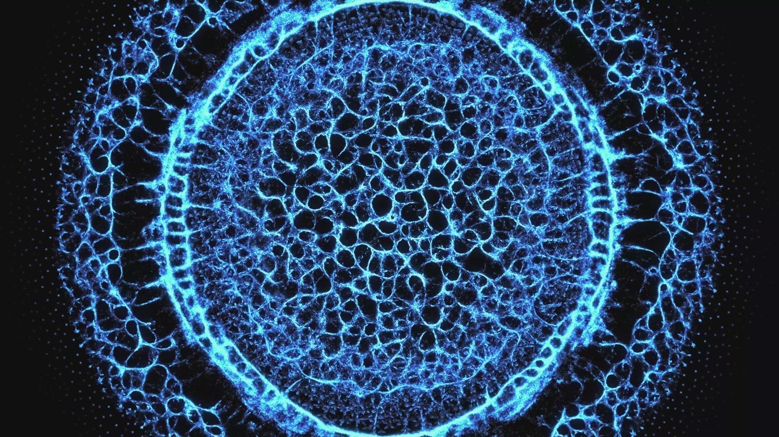 Blue Fractal Pulse Ring