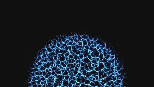 Growing Neural Fractal Ring Growing Neural Fractal Ring