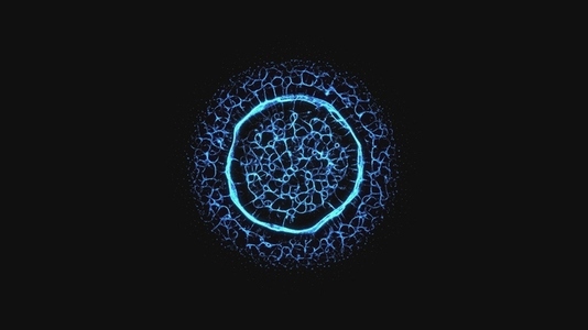 Blue Ringed Network Blue Ringed Network