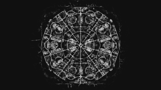 Organic Cymatic Patterns in Fungal Networks