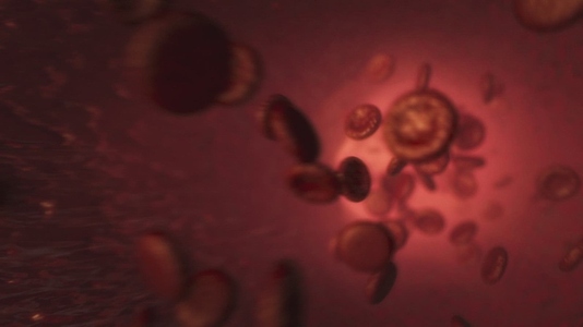 Red Blood Cells 1 Medical VFX