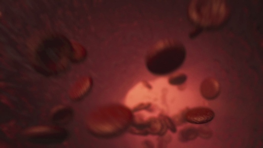Red Blood Cells  2   Medical VFX