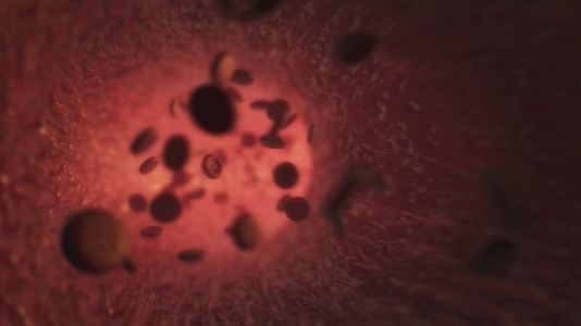 Red Blood Cells 4 Medical VFX