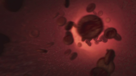 Red Blood Cells  5   Medical VFX