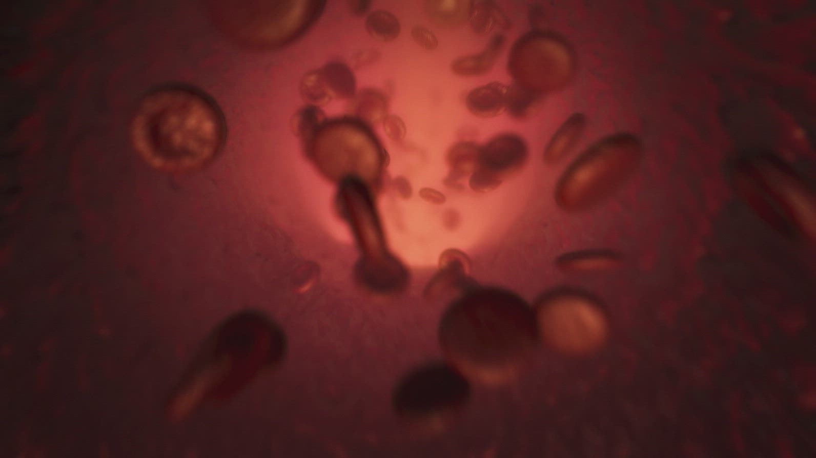 Red Blood Cells  6 - Medical VFX
