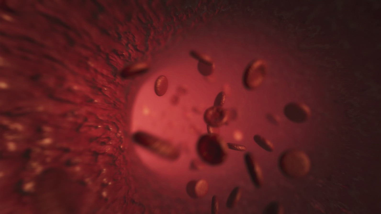 Red Blood Cells  7 - Medical VFX