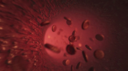 Red Blood Cells 7 Medical VFX