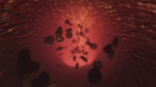 Red Blood Cells 8 Medical VFX