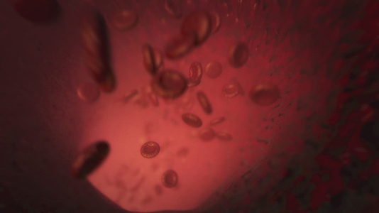 Red Blood Cells 11 Medical VFX