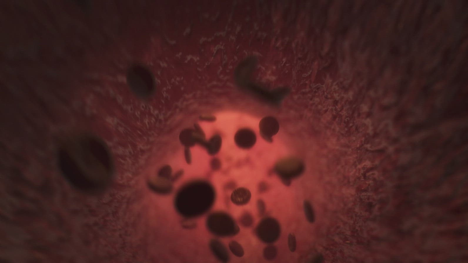 Red Blood Cells  11 - Medical VFX