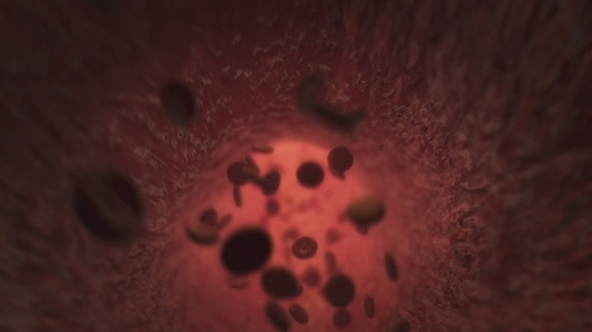 Red Blood Cells  11   Medical VFX