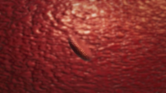Single Red Blood Cell   Medical VFX
