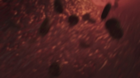 Red Blood Cells 10 Medical VFX