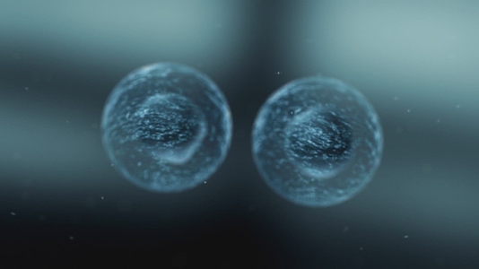 Cell Division Sequence   Medical VFX 1