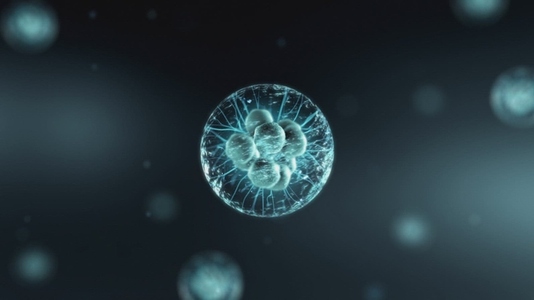 Cell Division Sequence   Medical VFX 5