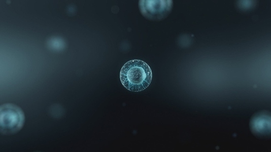 Cell Division Sequence   Medical VFX 7