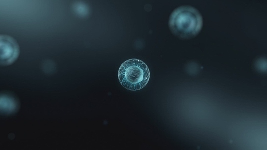 Cell Division Sequence   Medical VFX 8