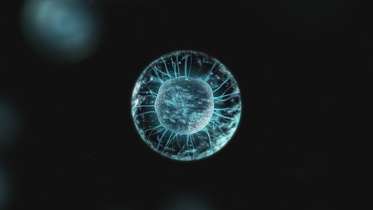 Cell Division Sequence Medical VFX 10 Cell Division Sequence Medical VFX 10