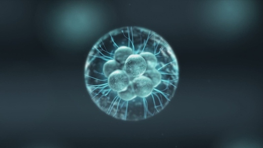 Cell Division Sequence   Medical VFX 9