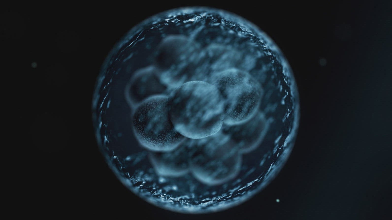 Cell Division Sequence - Medical VFX 14