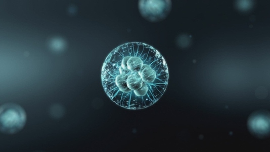 Cell Division Sequence   Medical VFX 11