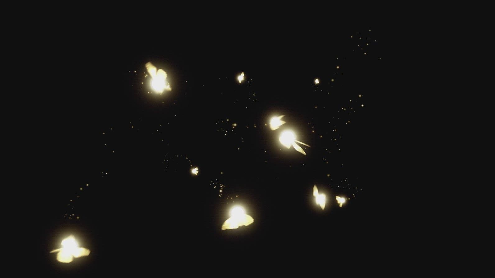 Fairy Magic VFX Overlay 13